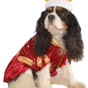 Kanine King Royal Prince Pet Dog Puppy Red Hallowe